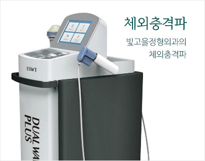 ü�������