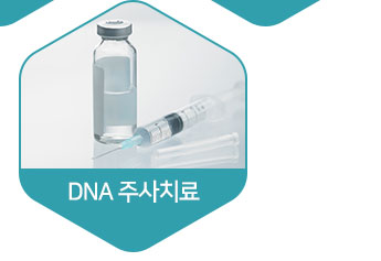 DNA �ֻ�ġ��